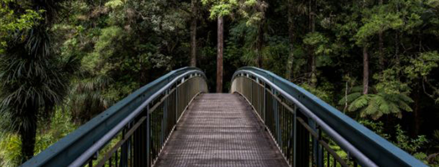 Compromiso social Compromiso social